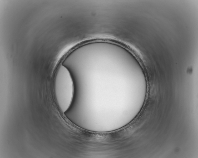 X0000090781271200707201127