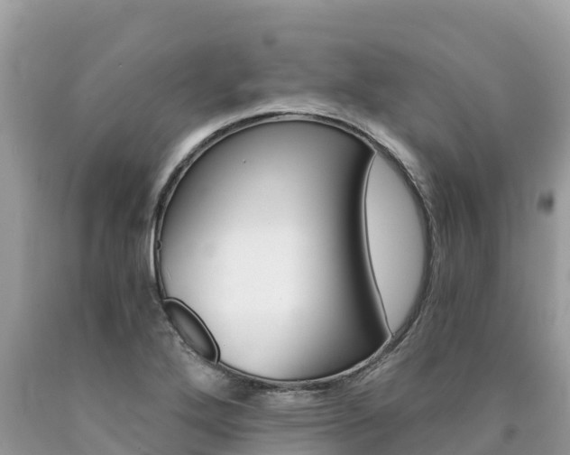 X0000090781272200707201127