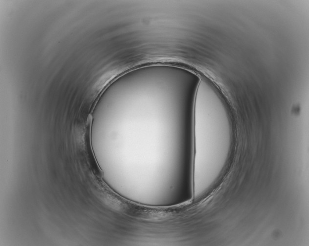 X0000090781273200707201127