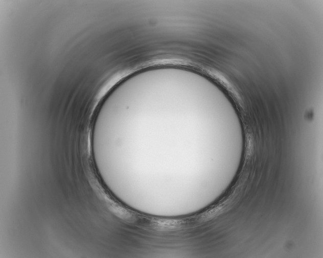 X0000090781274200707201127