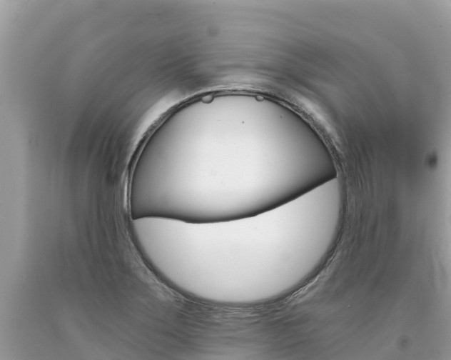 X0000090781275200707201127