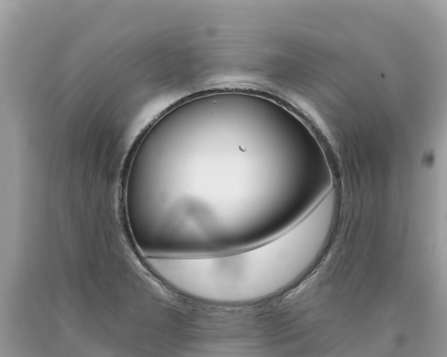 X0000090781277200707201127