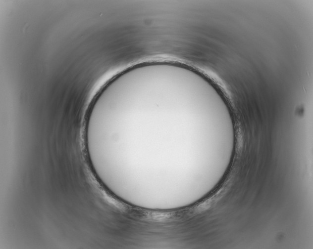 X0000090781278200707201127