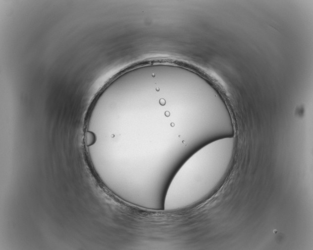 X0000090781279200707201127