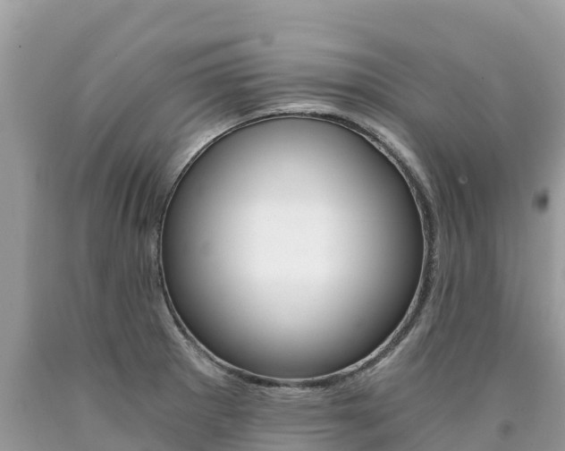 X0000090781281200707201127