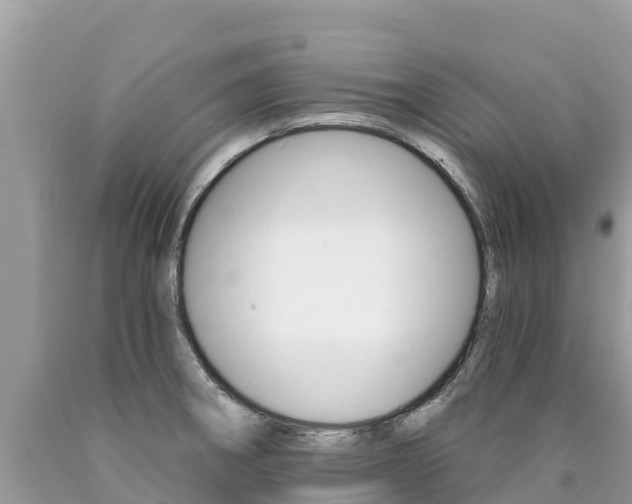 X0000090781282200707201127