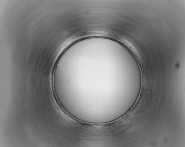 X0000090781283200707201127