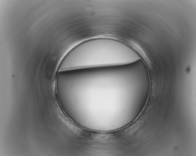 X0000090781284200707201127