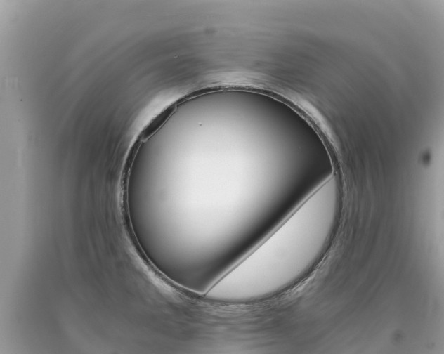 X0000090781285200707201127