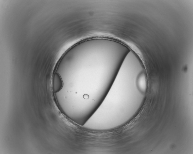 X0000090781287200707201127
