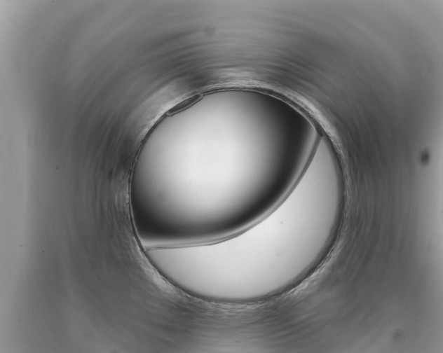 X0000090781289200707201127
