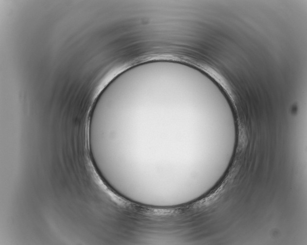X0000090781290200707201127