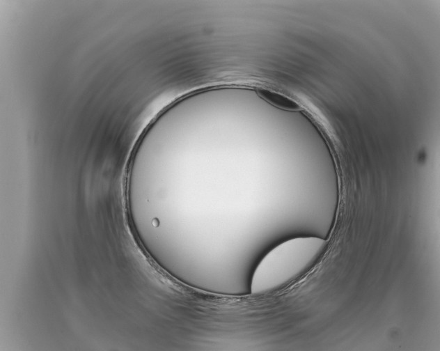 X0000090781291200707201127