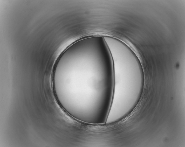 X0000090781293200707201127
