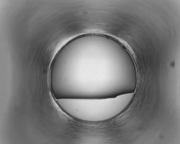 X0000090781295200707201127