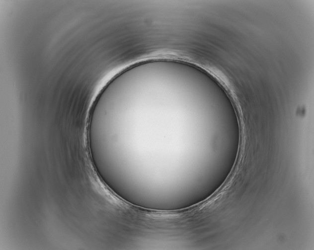 X0000090781296200707201127