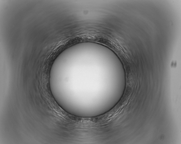 X0000090781297200707201126