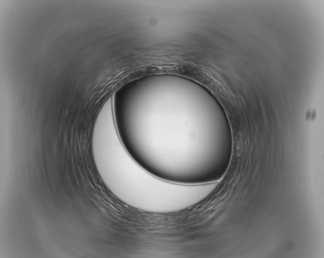 X0000090781298200707201126