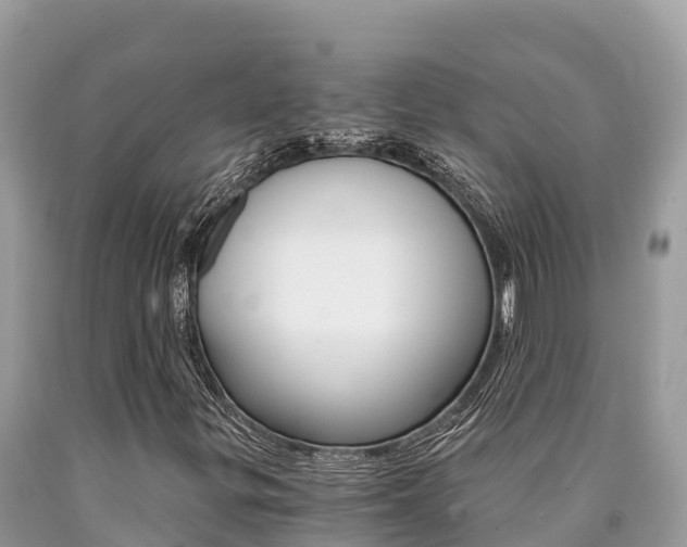 X0000090781299200707201126