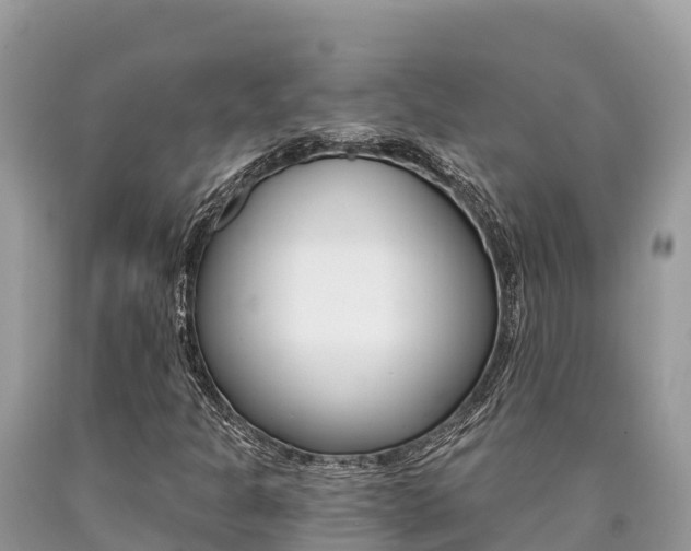 X0000090781301200707201126