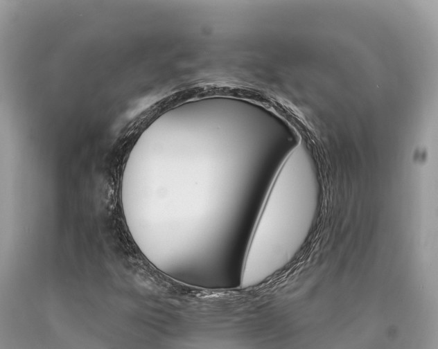 X0000090781303200707201126