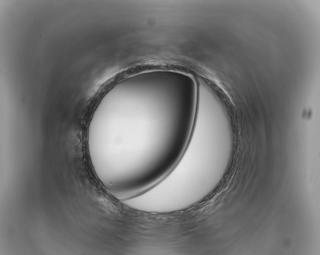 X0000090781304200707201126