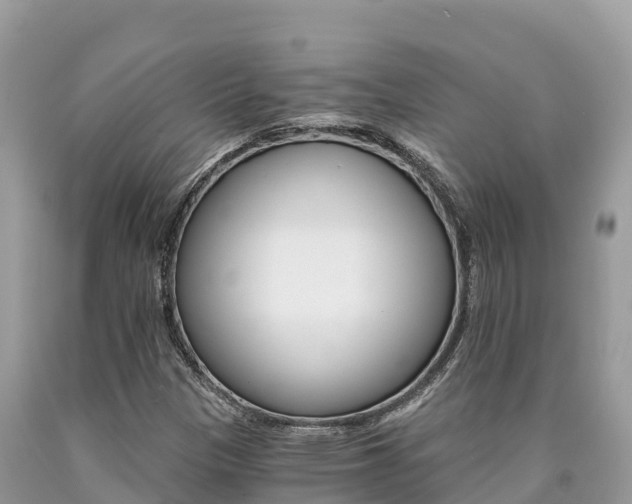 X0000090781305200707201126