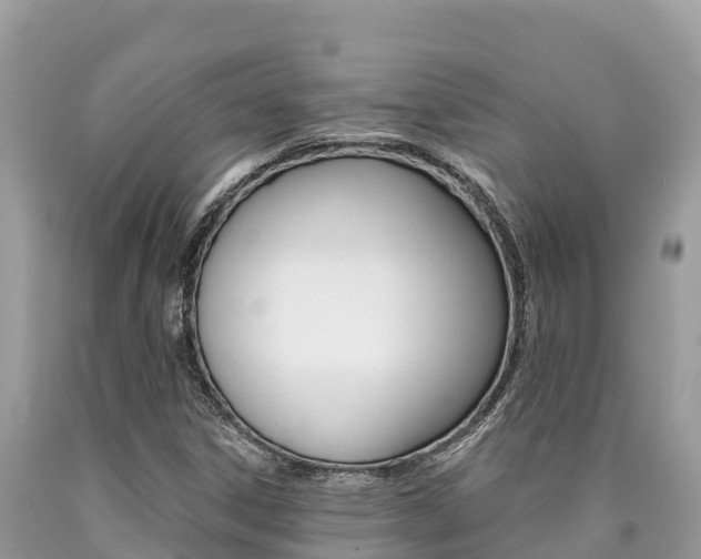 X0000090781306200707201126