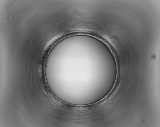 X0000090781307200707201126