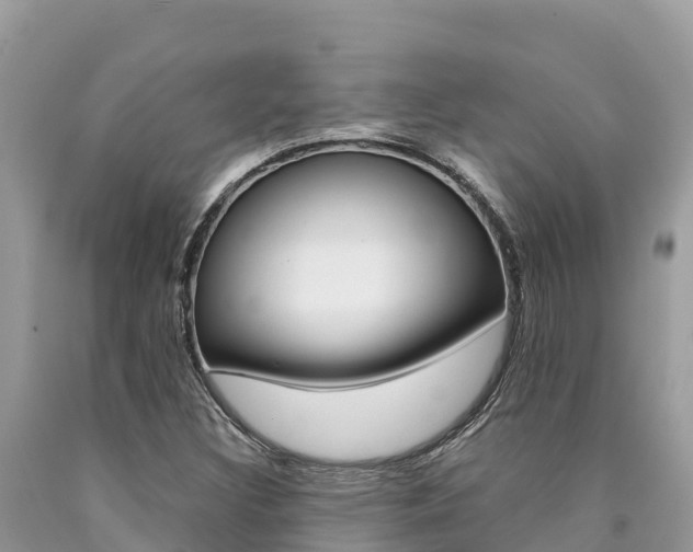 X0000090781308200707201126
