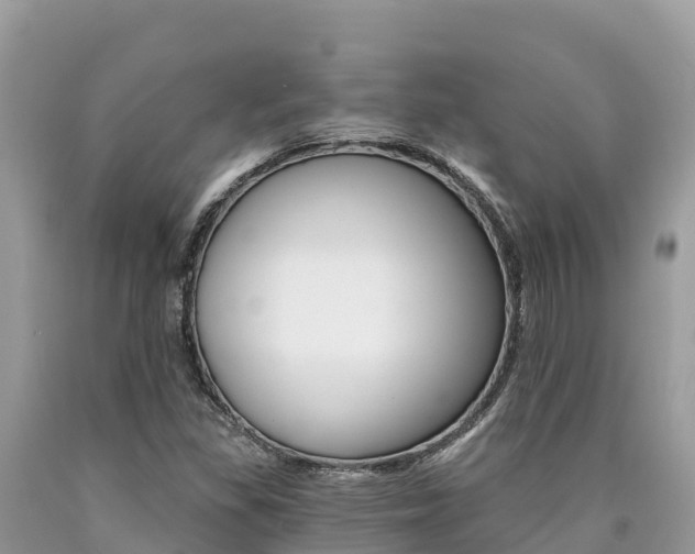 X0000090781309200707201126