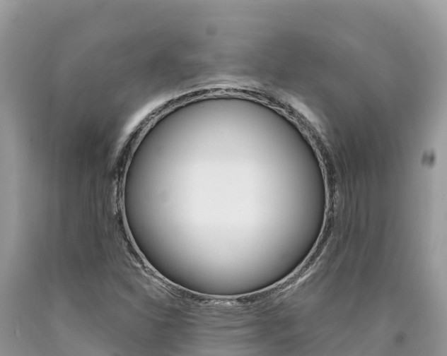 X0000090781310200707201126
