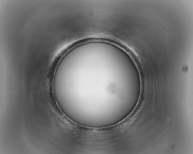 X0000090781311200707201126