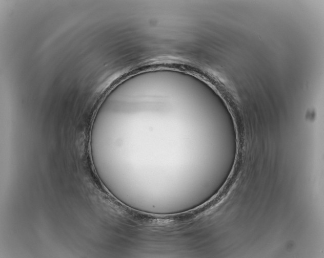 X0000090781313200707201126