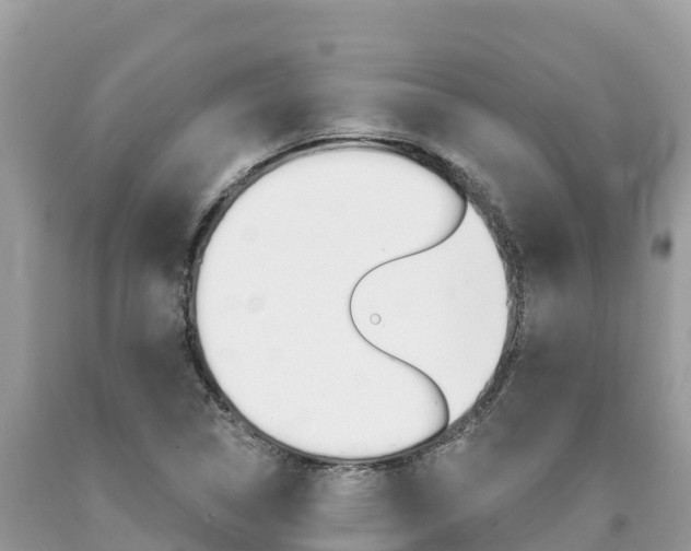 X0000090781314200707201126