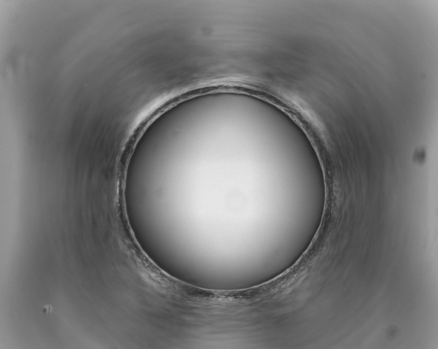 X0000090781316200707201127