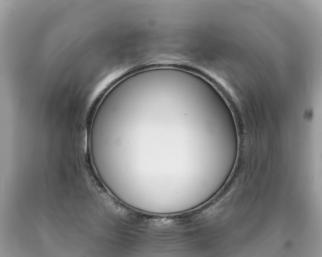 X0000090781317200707201127