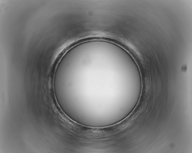 X0000090781318200707201127