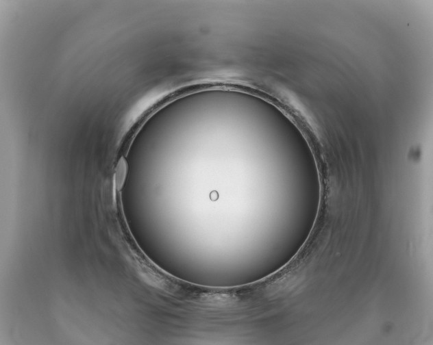 X0000090781320200707201127
