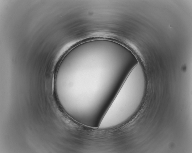 X0000090781323200707201127