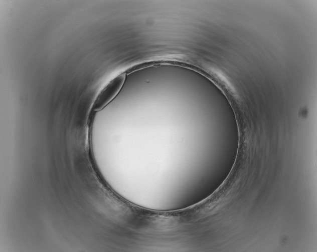 X0000090781324200707201127