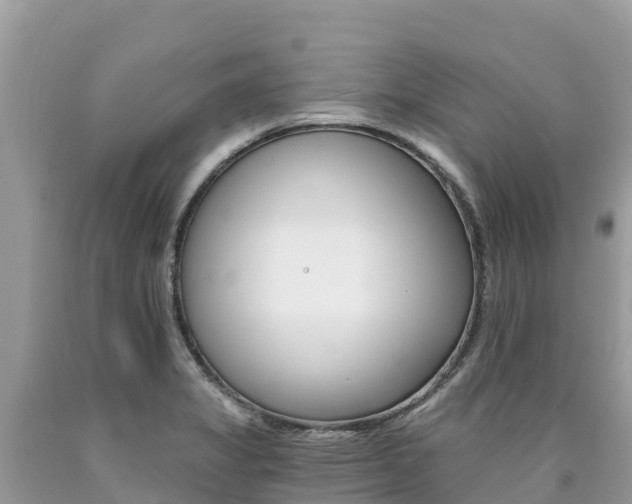 X0000090781325200707201127