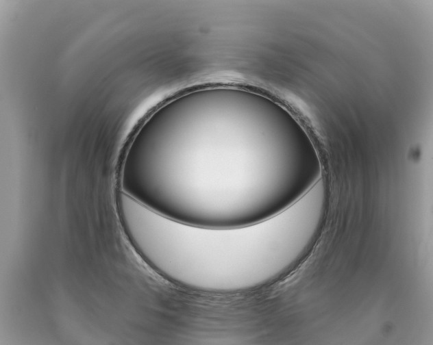 X0000090781326200707201127