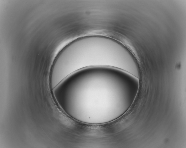 X0000090781328200707201127
