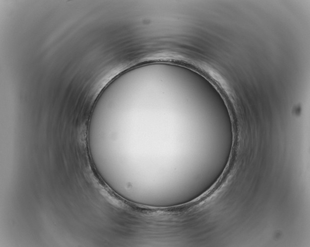 X0000090781329200707201127