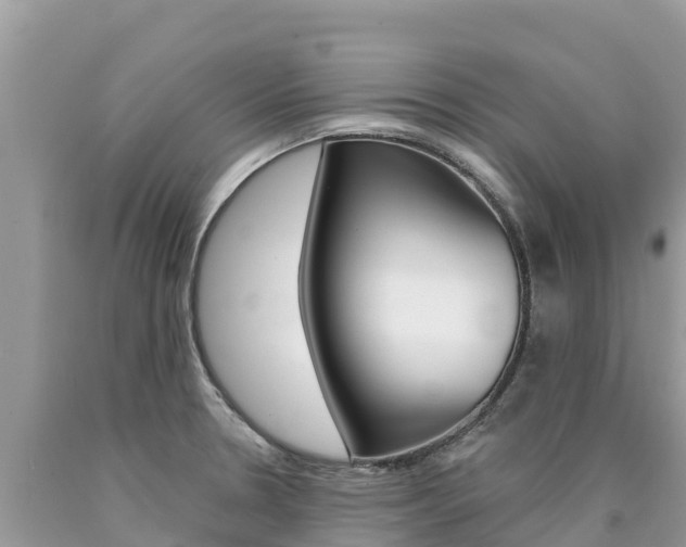 X0000090781330200707201127