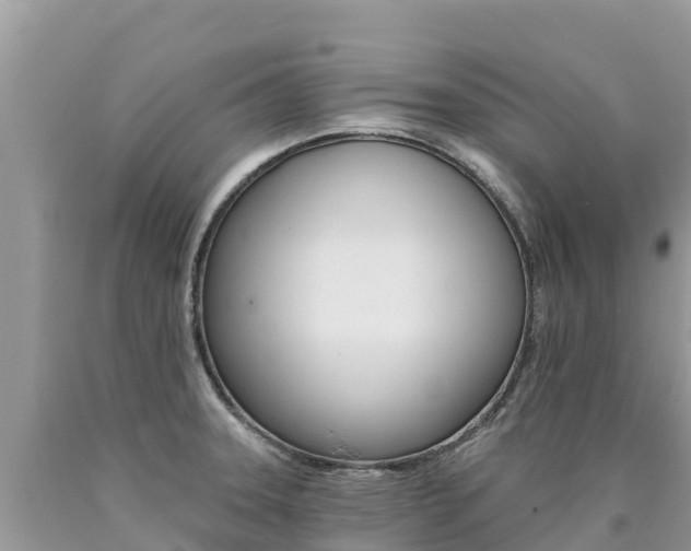 X0000090781331200707201127