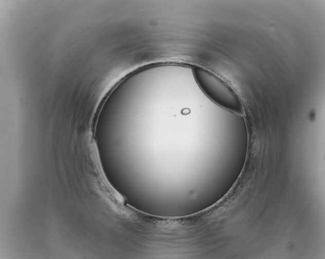 X0000090781332200707201127