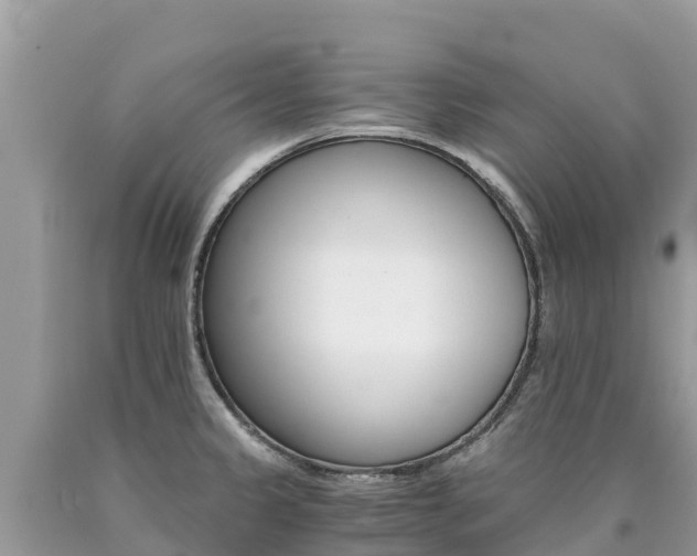 X0000090781333200707201127