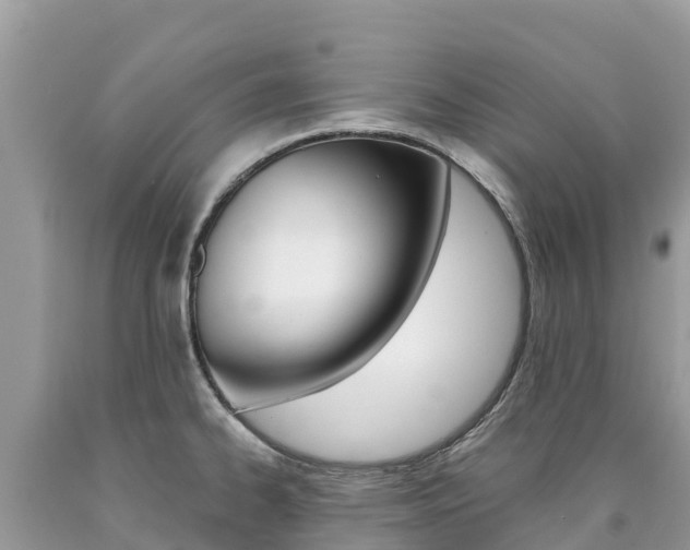 X0000090781334200707201127